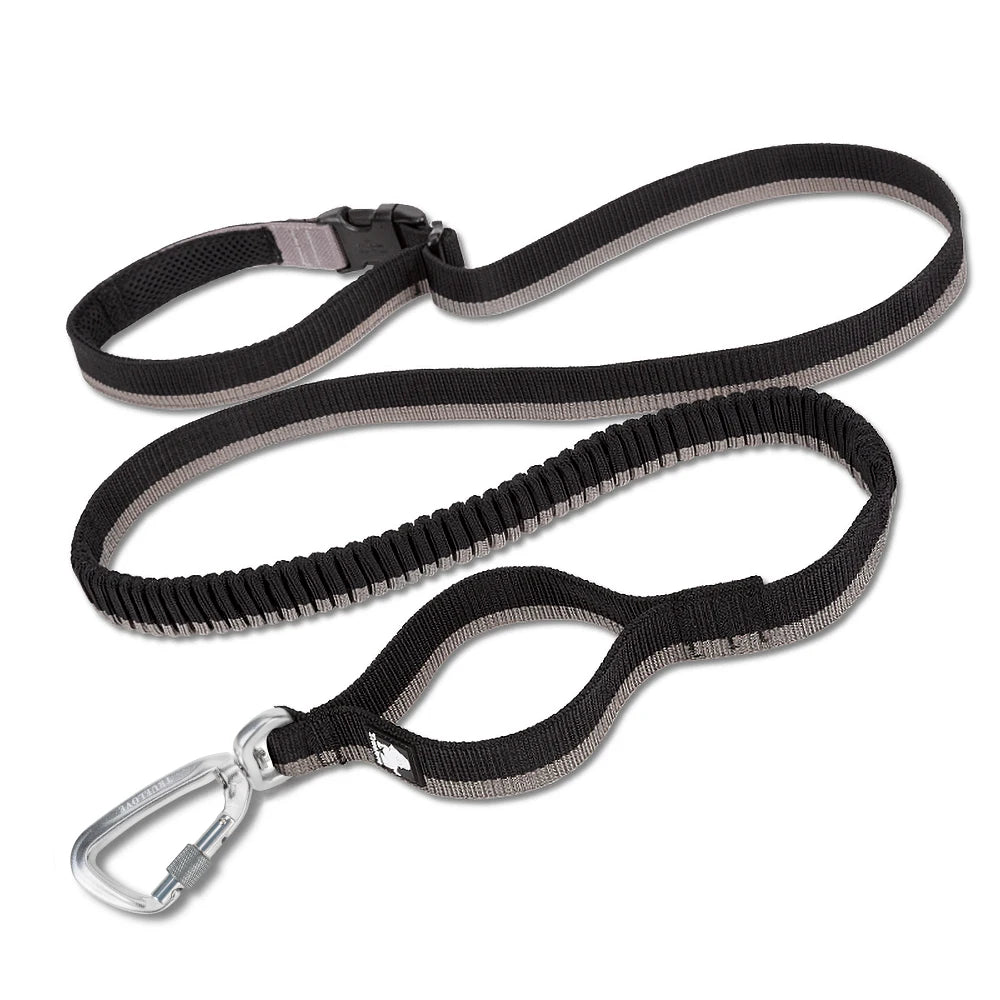 laisse elastique double poignee noir