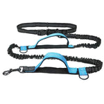 laisse mains libre pour chien - Vignette | laisse pour chien. fr