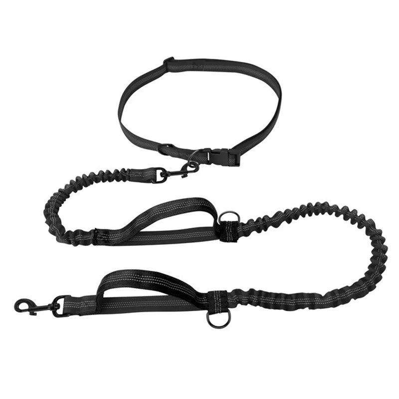 laisse elastique nylon mains libres attache  ceinture noir