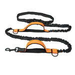 laisse mains libre pour chien - Vignette | laisse pour chien. fr