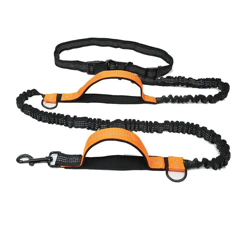 laisse elastique nylon mains libres attache  ceinture orange