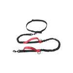 laisse mains libre pour chien - Vignette | laisse pour chien. fr