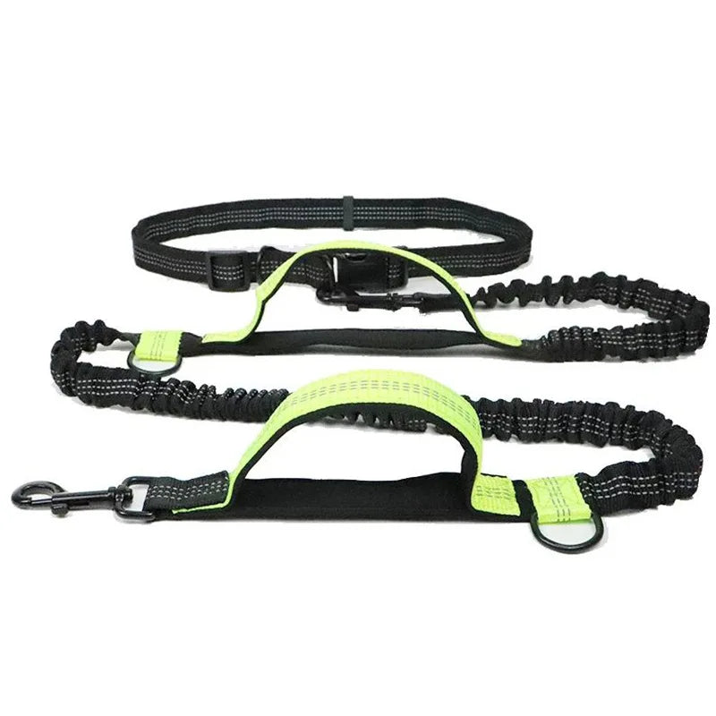 laisse elastique nylon mains libres attache  ceinture vert