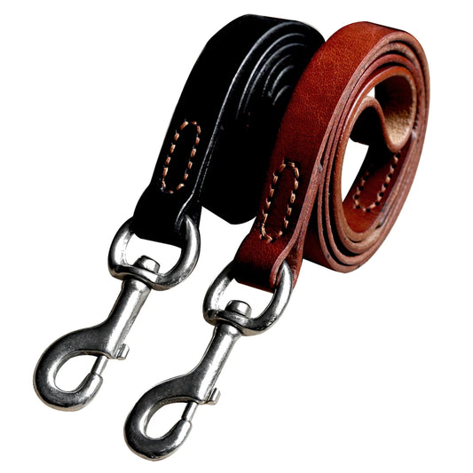 laisse en cuir 
