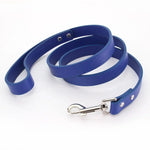 laisse en cuir petit chien - Vignette | laisse pour chien. fr