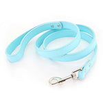 laisse en cuir petit chien - Vignette | laisse pour chien. fr