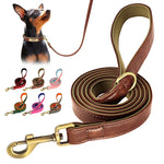 laisse en cuir petit chien - Vignette | laisse pour chien. fr