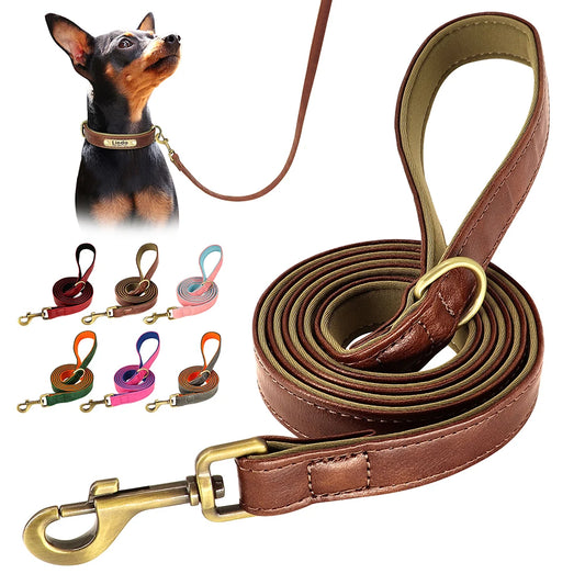 laisse en cuir elegant