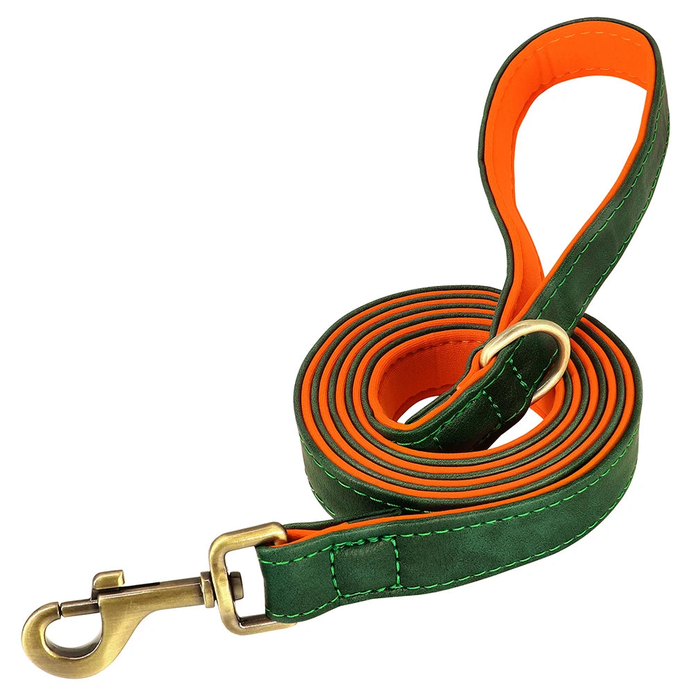 laisse en cuir elegant orange et vert