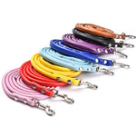 laisse en cuir pour petit chien - Vignette | laisse pour chien. fr