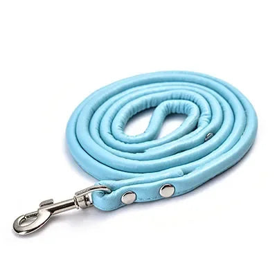 laisse en cuir petit chien 1,20m bleu ciel