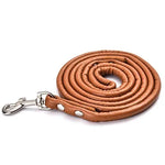 laisse en cuir pour petit chien - Vignette | laisse pour chien. fr