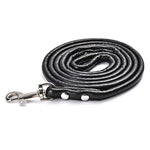 laisse en cuir pour petit chien - Vignette | laisse pour chien. fr