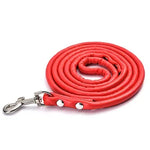 laisse en cuir pour petit chien - Vignette | laisse pour chien. fr