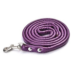 laisse en cuir pour petit chien - Vignette | laisse pour chien. fr