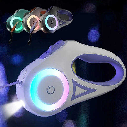 laisse enrouleur lumineuse avec lampe