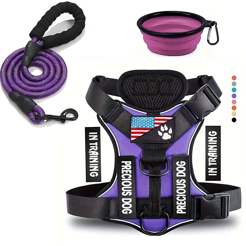 laisse et harnais avec bol violet