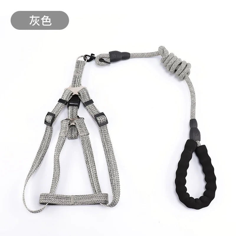 laisse et harnais corde nylon poignée en mousse gris