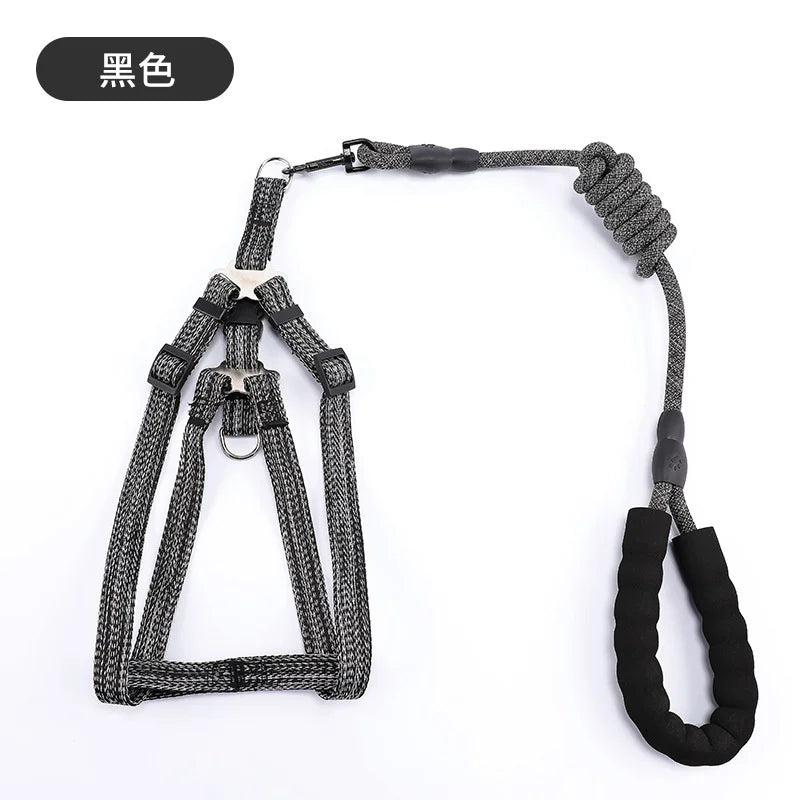 laisse et harnais corde nylon poignée en mousse noir