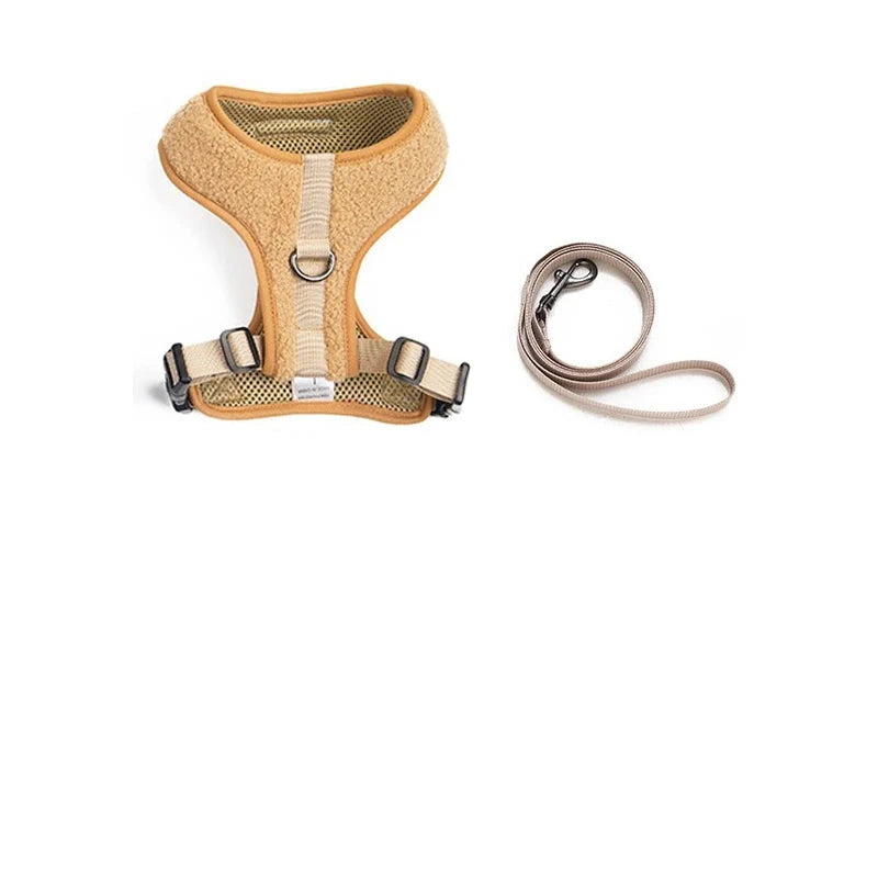 laisse et harnais couleurs beige