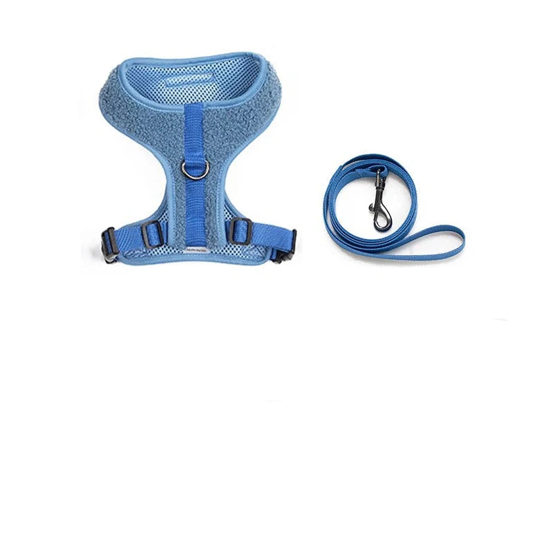 laisse et harnais couleurs bleu