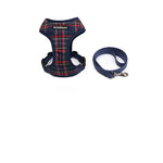 Laisse et harnais couleurs - Vignette | laisse pour chien. fr