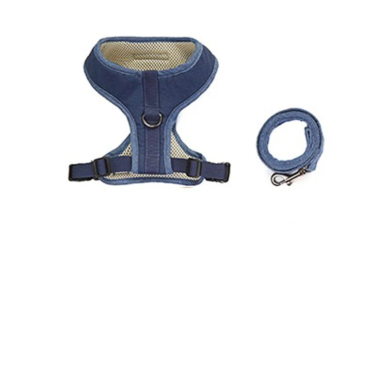 laisse et harnais couleurs bleu denim