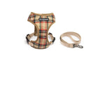 Laisse et harnais couleurs - Vignette | laisse pour chien. fr