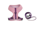 Laisse et harnais couleurs - Vignette | laisse pour chien. fr