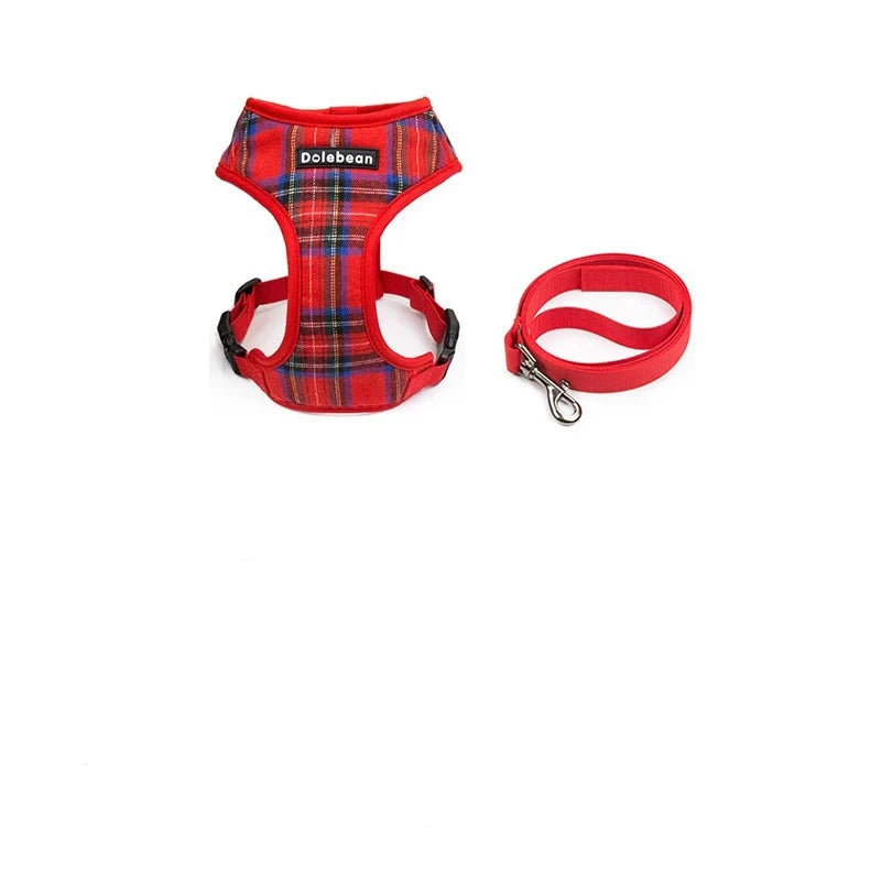 laisse et harnais couleurs rouge carreaux