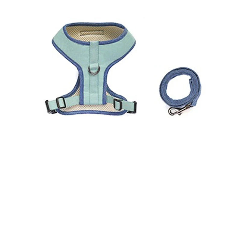 laisse et harnais couleurs vert denim