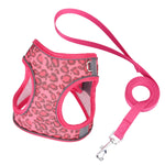 ensemble laisse et harnais pour petit chien - Vignette | laisse pour chien. fr