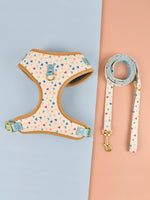 Laisse et Harnais motifs - Vignette | laisse pour chien. fr