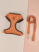 Laisse et Harnais motifs - Vignette | laisse pour chien. fr