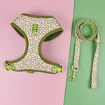 Laisse et Harnais motifs - Vignette | laisse pour chien. fr