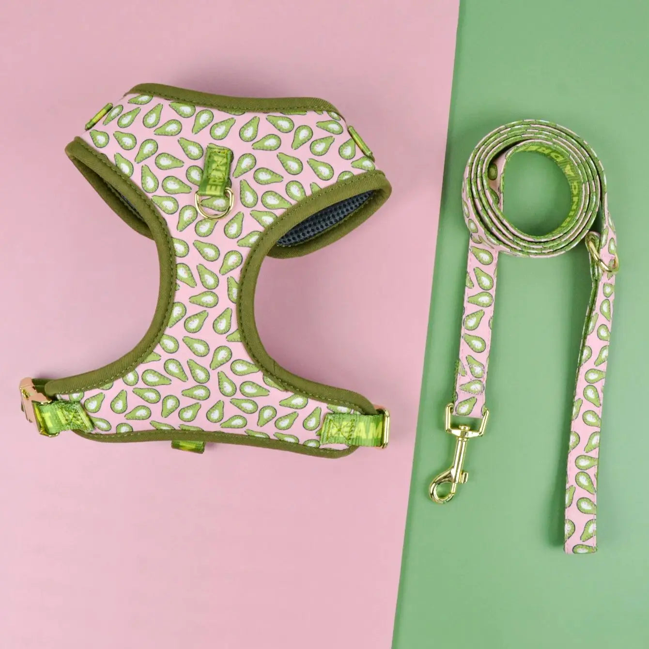 laisse et harnais motifs vert