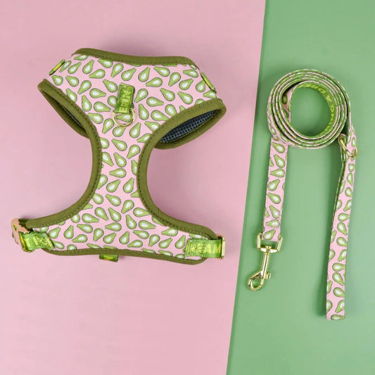 laisse et harnais motifs vert