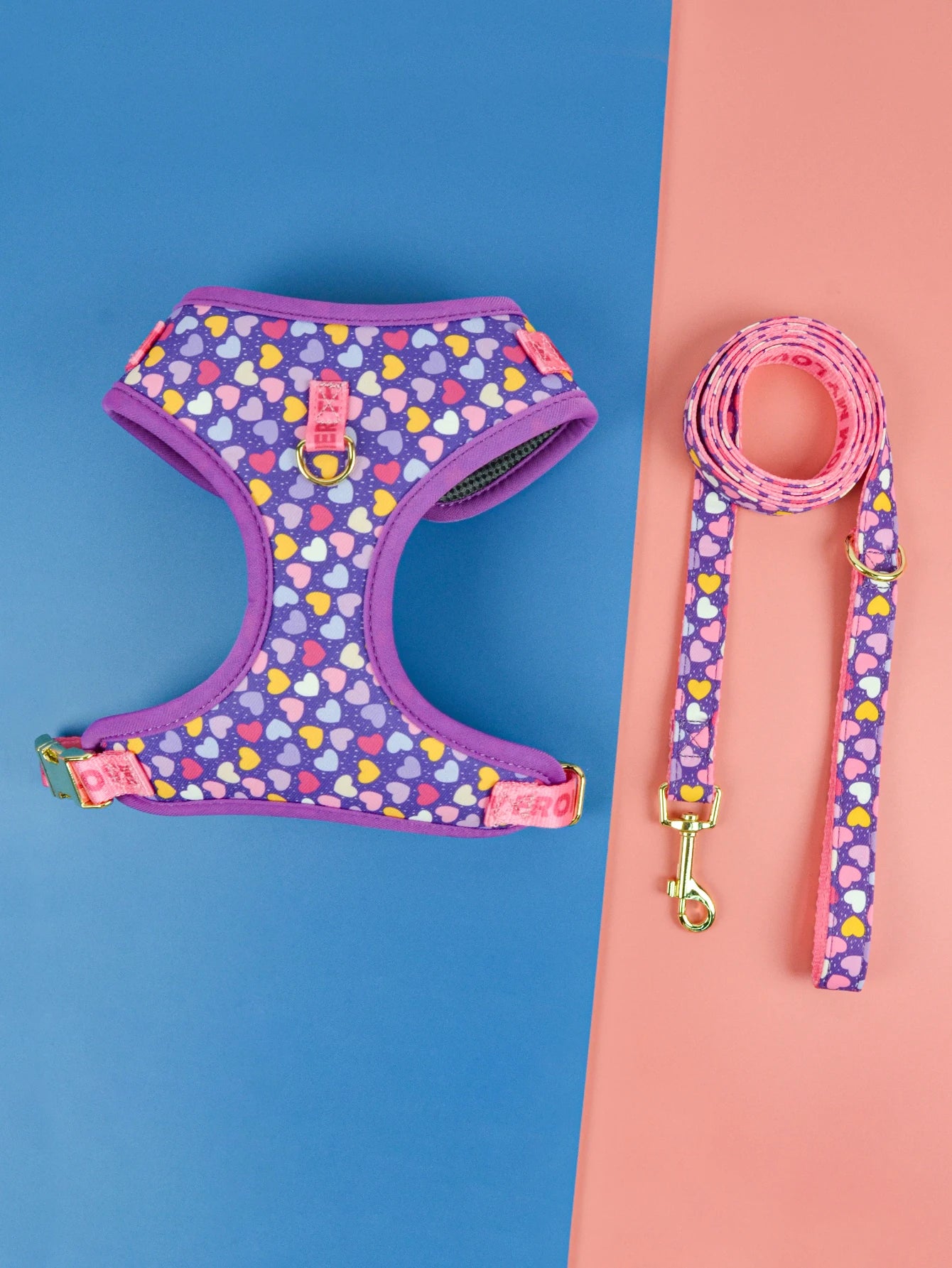 laisse et harnais motifs violet