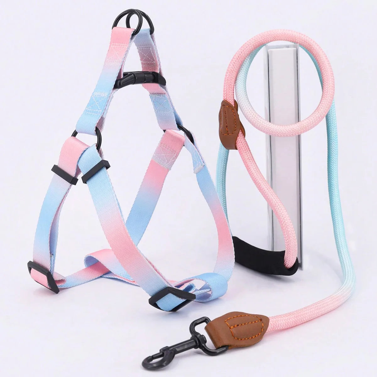 laisse et harnais poignee en mousse bleu et rose