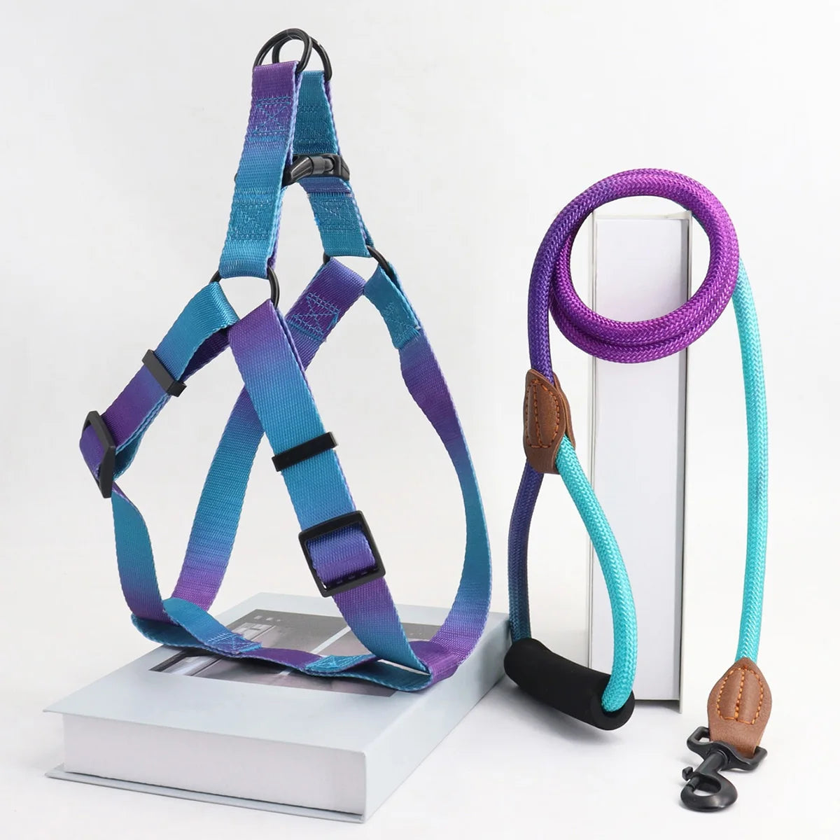 laisse et harnais poignee en mousse violet et bleu