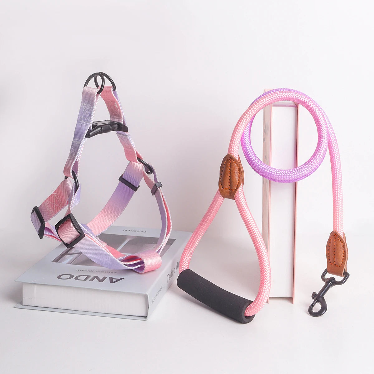 laisse et harnais poignee en mousse violet et rose