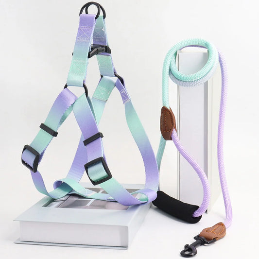 laisse et harnais poignee en mousse violet vert