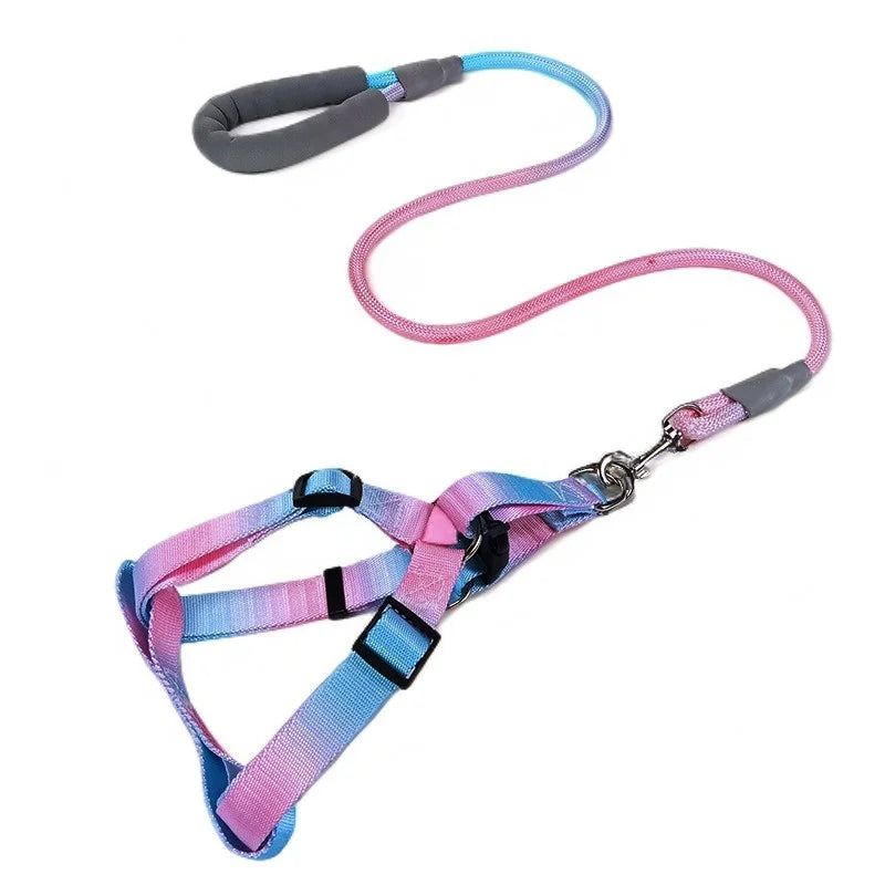 laisse et harnais poignee rembourree bleu et rose