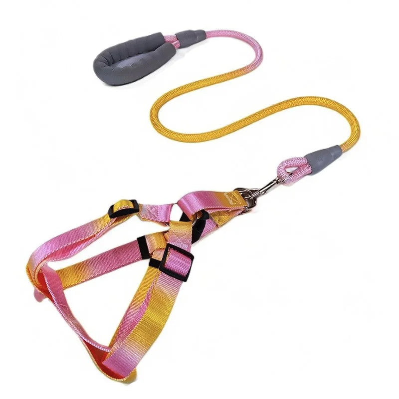 laisse et harnais poignee rembourree rose et jaune