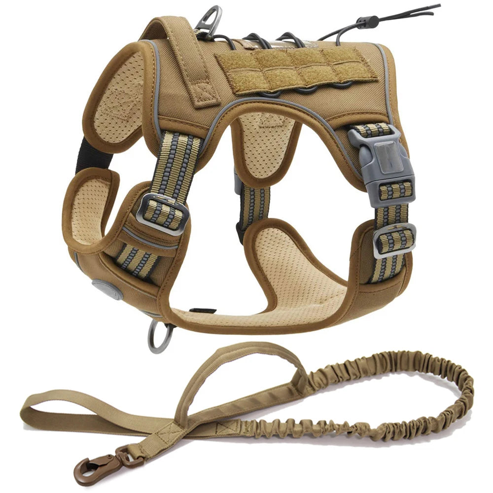 laisse et harnais pour chien beige