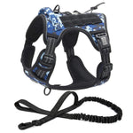 ensemble laisse et harnais pour chien - Vignette | laisse pour chien. fr