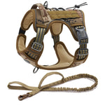 ensemble laisse et harnais pour chien - Vignette | laisse pour chien. fr