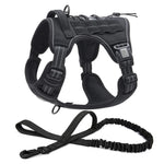 ensemble laisse et harnais pour chien - Vignette | laisse pour chien. fr