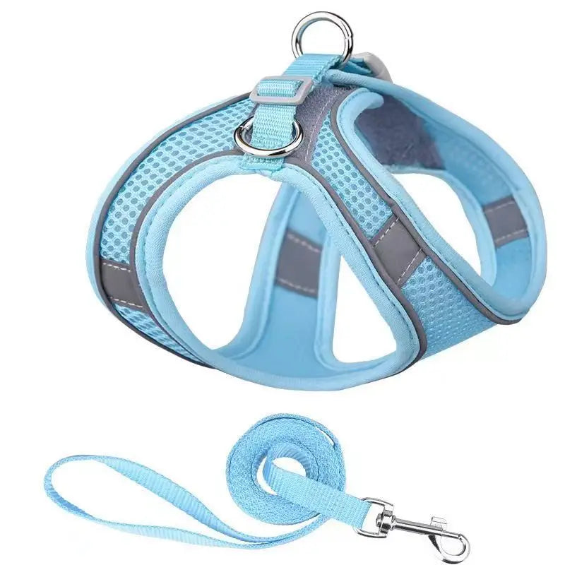 laisse et harnais pour petit chien bleu