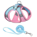 laisse et harnais pour petit chien - Vignette | laisse pour chien. fr